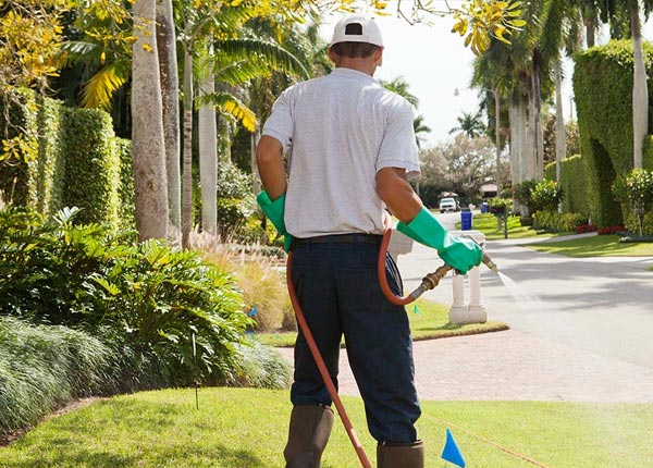 About New Orleans LA Pest Control